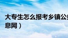 大专生怎么报考乡镇公务员（临沂人事考试信息网）