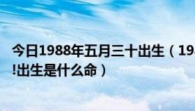 今日1988年五月三十出生（1988年生人!农历5月30,十二点!出生是什么命）