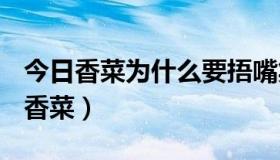 今日香菜为什么要捂嘴笑（为什么B吧总要黑香菜）