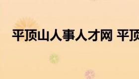 平顶山人事人才网 平顶山市人才市场官网