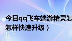 今日qq飞车端游精灵怎么进化（QQ飞车精灵怎样快速升级）