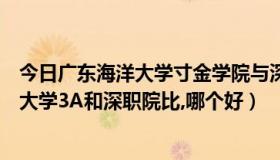 今日广东海洋大学寸金学院与深圳职业技术学院（广东海洋大学3A和深职院比,哪个好）