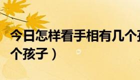 今日怎样看手相有几个孩子（怎么看手相有几个孩子）