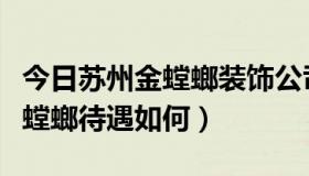 今日苏州金螳螂装饰公司待遇怎么样（苏州金螳螂待遇如何）