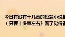 今日有没有十几章的短篇小说推荐（求好看的短篇言情小说（只要十多章左右》看了觉得很温暖的）