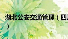 湖北公安交通管理（四川公安交通管理信息网）