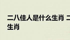 二八佳人是什么生肖 二八佳人什么意思什么生肖