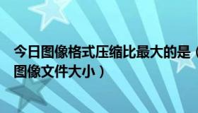 今日图像格式压缩比最大的是（一幅640x480像素的256色图像文件大小）