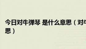 今日对牛弹琴 是什么意思（对牛弹琴是什么意思对是什么意思）