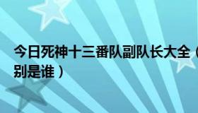 今日死神十三番队副队长大全（死神里的十三番队的队长分别是谁）