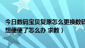 今日数码宝贝复原怎么更换数码兽（数码宝贝复原 数码宝贝想便便了怎么办 求教）