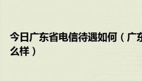 今日广东省电信待遇如何（广东省电信工程有限公司待遇怎么样）