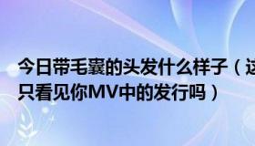 今日带毛囊的头发什么样子（这样子的头发能剪成炎亚纶在只看见你MV中的发行吗）