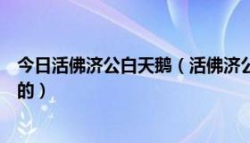 今日活佛济公白天鹅（活佛济公三之天鹅梦大结局剧情具体的）