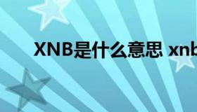 XNB是什么意思 xnb是什么意思网络