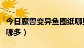 今日魔兽变异鱼图纸哪里出（魔兽世界变异鱼哪多）