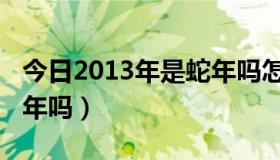 今日2013年是蛇年吗怎么回答（2013年是蛇年吗）