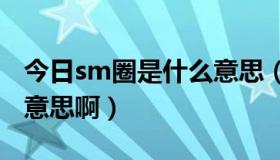 今日sm圈是什么意思（MS和SM分别是什么意思啊）