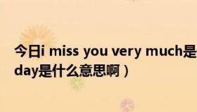 今日i miss you very much是什么意思（I miss you veryday是什么意思啊）