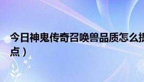 今日神鬼传奇召唤兽品质怎么提升（神鬼传奇召唤兽如何加点）