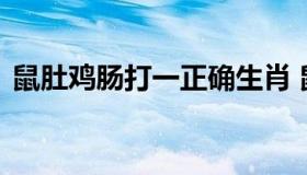 鼠肚鸡肠打一正确生肖 鼠肚鸡肠打一个生肖