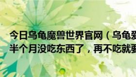 今日乌龟魔兽世界官网（乌龟爱吃什么东西吧我们家的乌龟半个月没吃东西了，再不吃就要饿死了就，急死我了！）