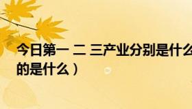 今日第一 二 三产业分别是什么（第一、二、三产业分别指的是什么）