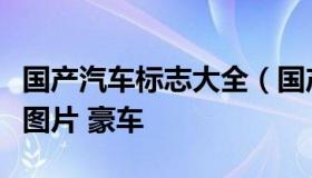 国产汽车标志大全（国产汽车标志大全及名字图片 豪车