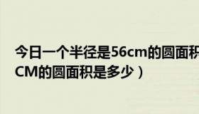 今日一个半径是56cm的圆面积是多少平方（一个半径是56CM的圆面积是多少）