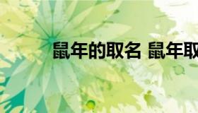 鼠年的取名 鼠年取名字大全男孩