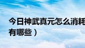 今日神武真元怎么消耗（神武DF真元丹效果有哪些）