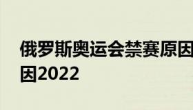 俄罗斯奥运会禁赛原因 俄罗斯奥运会禁赛原因2022