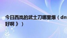 今日西岚的武士刀哪里爆（dnf西岚的武士手套怎么样好不好啊 》）