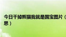 今日干掉熊猫我就是国宝图片（干掉熊猫我就是国宝 什么意思）