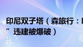 印尼双子塔（森旅行：印度约百米高“双子塔”违建被爆破）