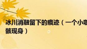 冰川消融留下的痕迹（一个小咖：冰川消融致54年前坠机残骸现身）