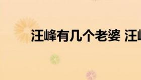 汪峰有几个老婆 汪峰的老婆是哪位