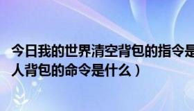 今日我的世界清空背包的指令是什么（1.95传奇私服 清空别人背包的命令是什么）