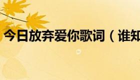 今日放弃爱你歌词（谁知道放弃爱你的歌词）