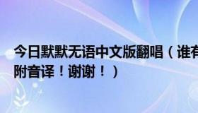 今日默默无语中文版翻唱（谁有默默无语的歌词中文，韩文附音译！谢谢！）