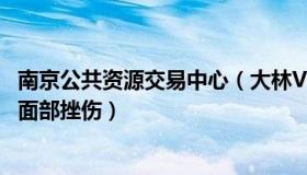 南京公共资源交易中心（大林Vlog：南京被掌掴男童外耳和面部挫伤）