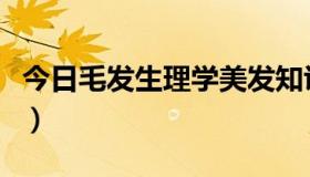 今日毛发生理学美发知识（什么是毛发生理学）