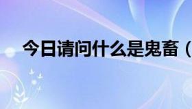 今日请问什么是鬼畜（什么是鬼畜受呀）