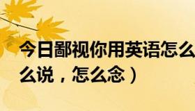 今日鄙视你用英语怎么说?（鄙视你用英文怎么说，怎么念）