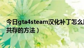 今日gta4steam汉化补丁怎么用（求 gta4画面补丁和汉化共存的方法）