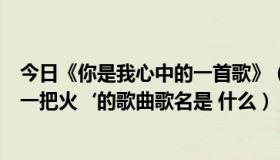 今日《你是我心中的一首歌》（歌词含有‘你是我我心中的一把火‘的歌曲歌名是 什么）