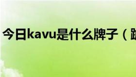 今日kavu是什么牌子（跪求KAV 6.0的KEY）