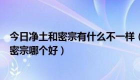 今日净土和密宗有什么不一样（明一法师：禅宗、净土宗和密宗哪个好）