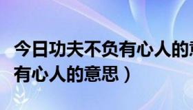 今日功夫不负有心人的意思和造句（功夫不负有心人的意思）