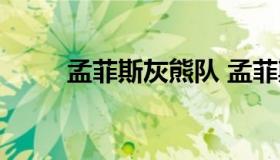 孟菲斯灰熊队 孟菲斯灰熊队队徽）